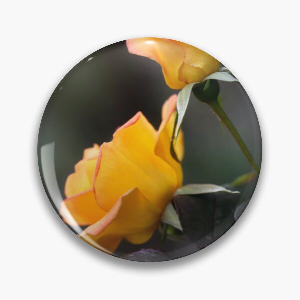 Item preview, Two roses on black background designed and sold by olena2552.
