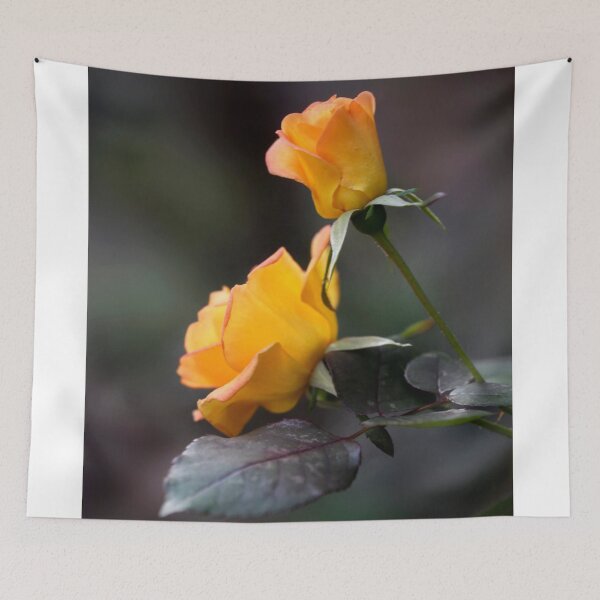 Item preview, Two roses on black background designed and sold by olena2552.