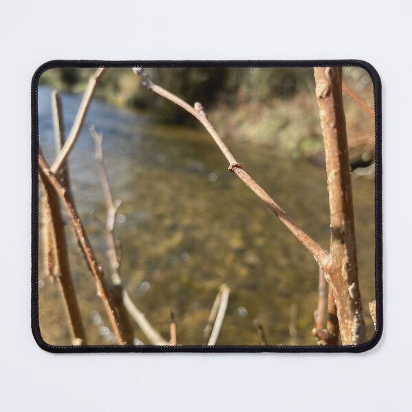 Item preview, Stick Forest designed and sold by SecretlyAPiano.
