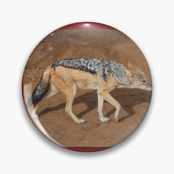 Item preview, Namibia. Namib-Naukluft National Park. Sossusvlei. Jackal. designed and sold by vadim19.