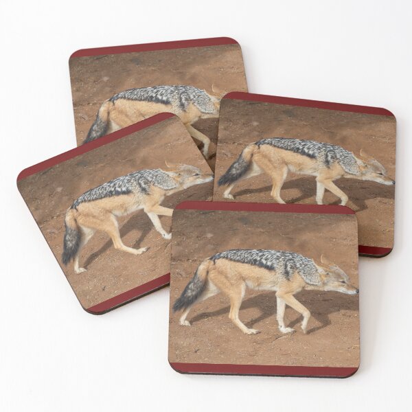 Item preview, Namibia. Namib-Naukluft National Park. Sossusvlei. Jackal. designed and sold by vadim19.