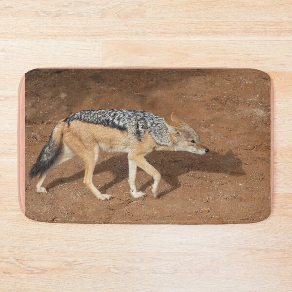 Item preview, Namibia. Namib-Naukluft National Park. Sossusvlei. Jackal. designed and sold by vadim19.