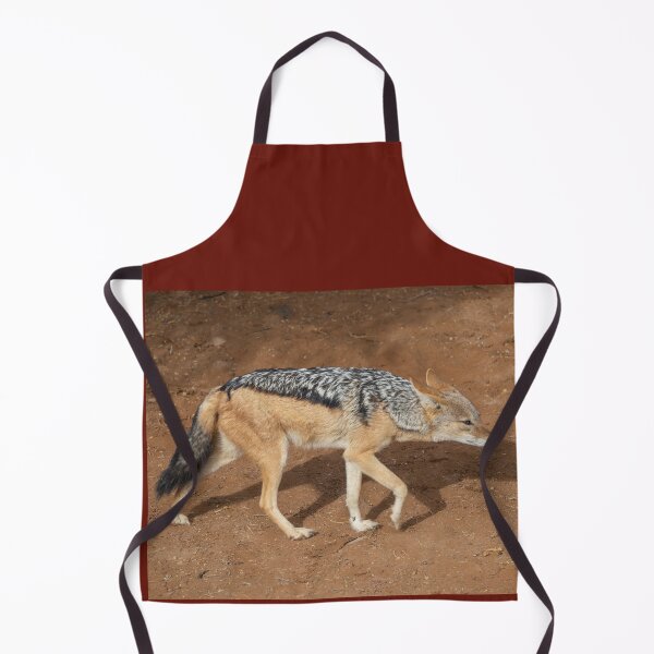 Item preview, Namibia. Namib-Naukluft National Park. Sossusvlei. Jackal. designed and sold by vadim19.