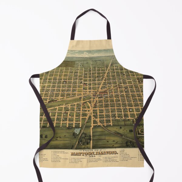 Item preview, Mattoon, Illinois (1884) designed and sold by allhistory.