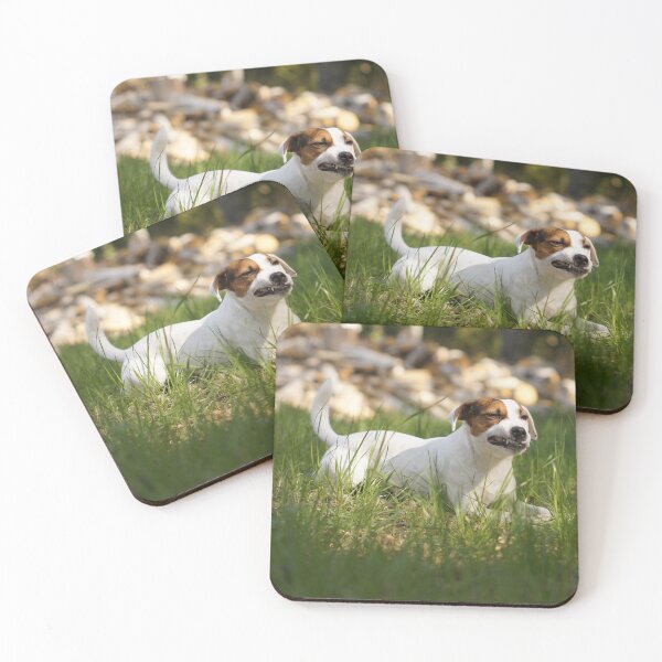 Item preview, Cute terrier showing some teeth designed and sold by riku05830.