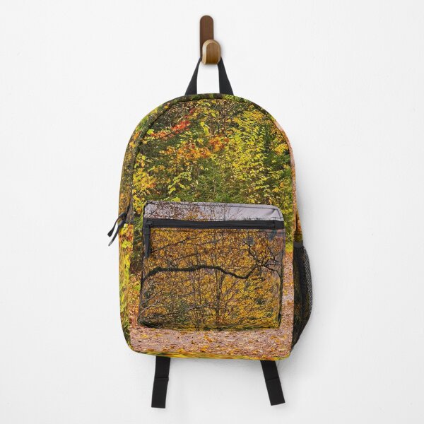 Item preview, Autumn Woodland Fall Walk designed and sold by Martyn R Arnold Fine Art Nature & Landscape Photography.