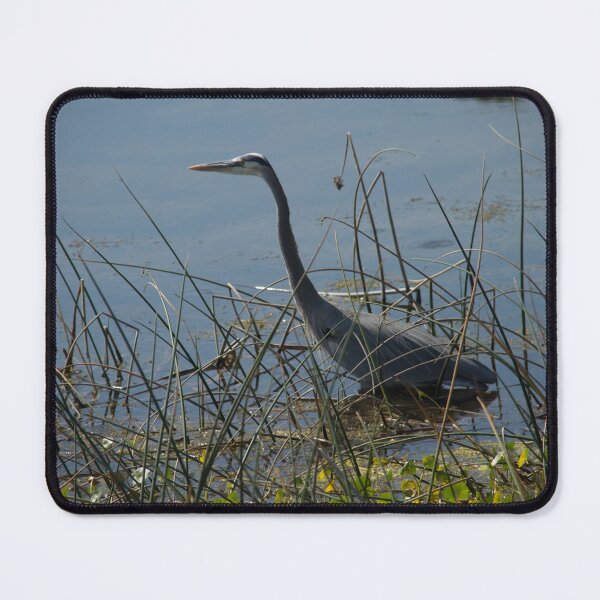 Item preview, Great Blue Heron at Viera Wetlands designed and sold by ValeriesGallery.