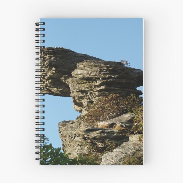Item preview, Nature's Balance - Mountain Photography designed and sold by SavvySeller.