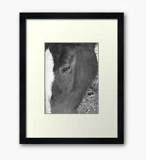 Lonely Framed Print