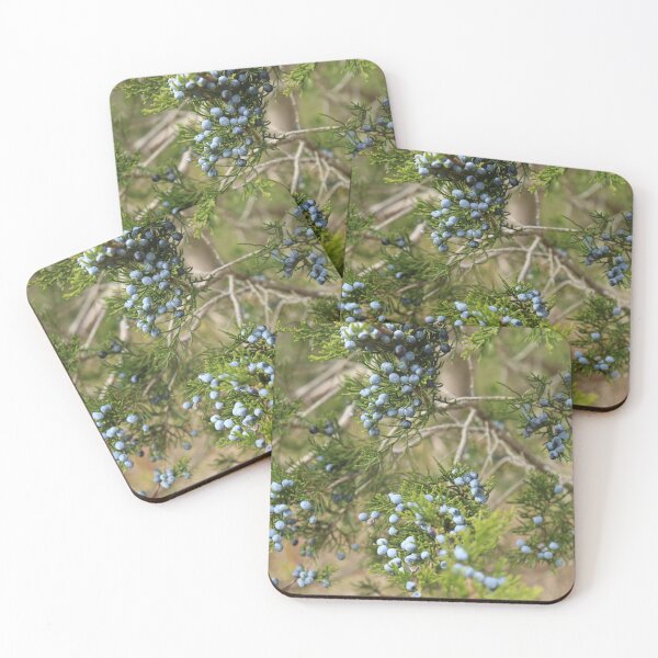 Item preview, Juniper Berries designed and sold by nfjustnature.
