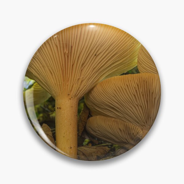Item preview, Fungi Towers designed and sold by AlanDPhotos.