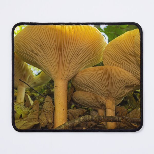 Item preview, Fungi Towers designed and sold by AlanDPhotos.