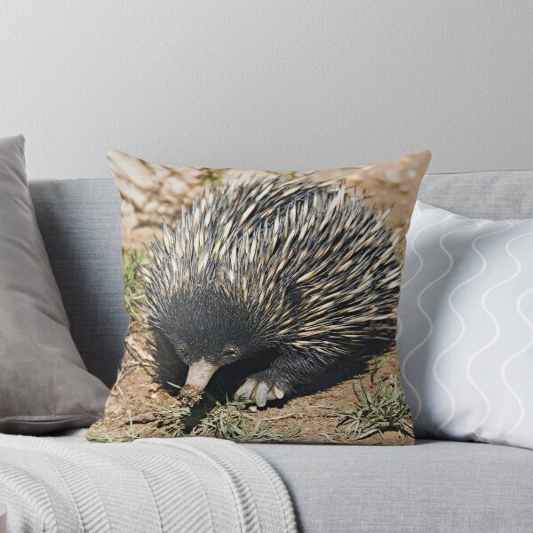 Item preview, Australian Echidna 3 designed and sold by clearviewstock.