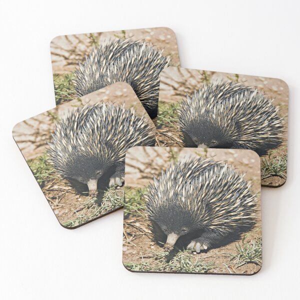 Item preview, Australian Echidna 3 designed and sold by clearviewstock.