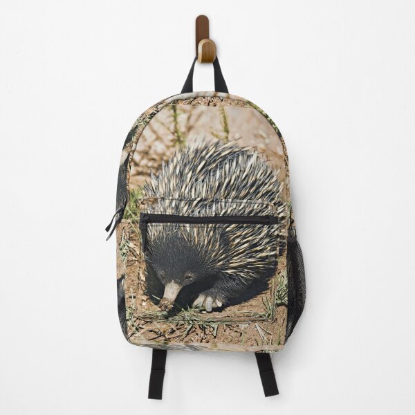 Item preview, Australian Echidna 3 designed and sold by clearviewstock.