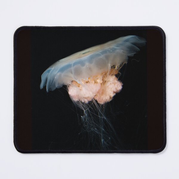 Item preview, Irukandji Jellyfish designed and sold by clearviewstock.