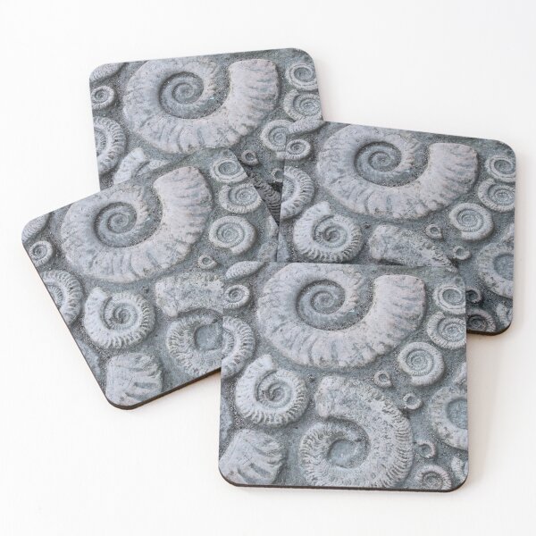 Item preview, FOSSILS designed and sold by Swooncake Press.