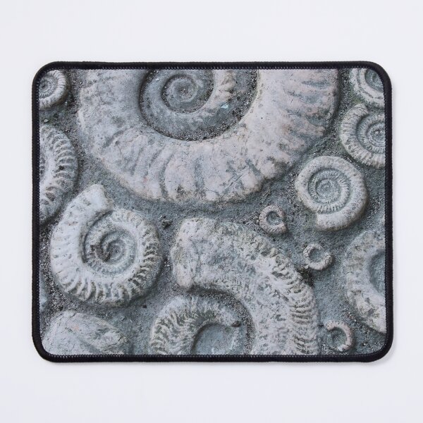 Item preview, FOSSILS designed and sold by Swooncake Press.