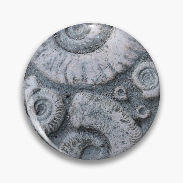 Item preview, FOSSILS designed and sold by Swooncake Press.