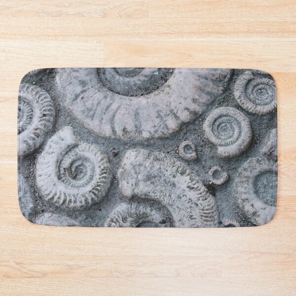 Item preview, FOSSILS designed and sold by Swooncake Press.