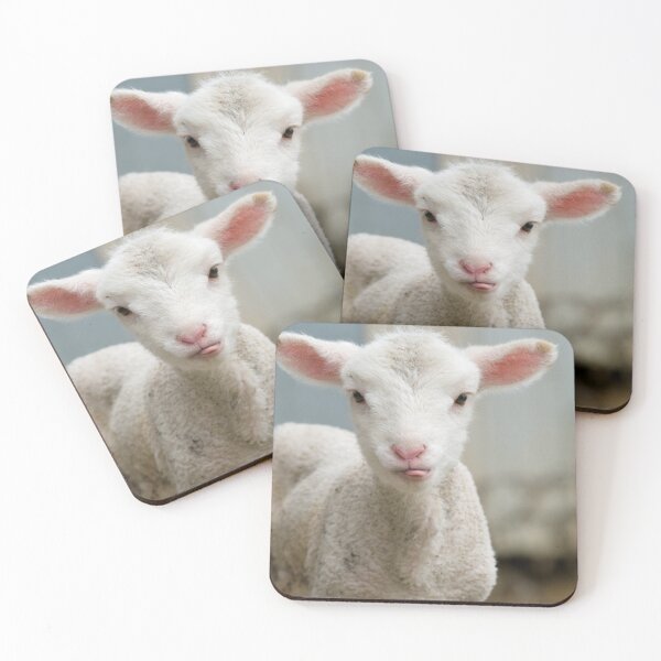 Item preview, Lindo y adorable cordero de pocos días. designed and sold by clearviewstock.
