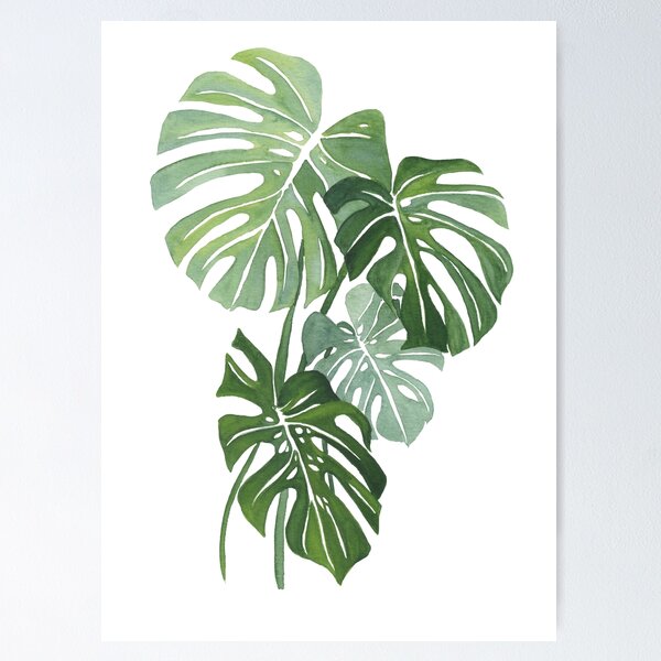Item preview, Monstera Leaves designed and sold by Ana Moguš.
