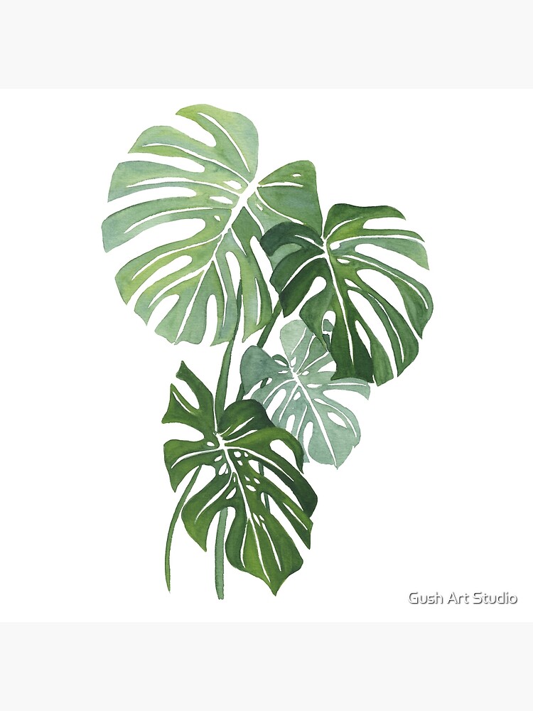 Monstera Leaves by gusstvaraonica