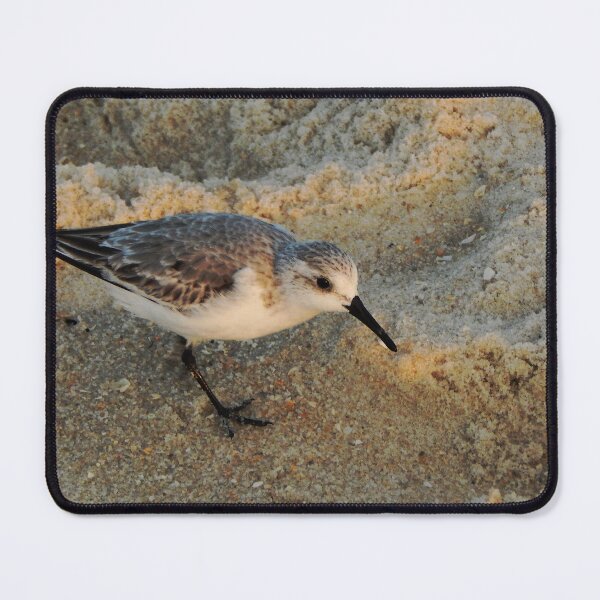 Item preview, Opportunistic Sanderling designed and sold by gistinker.