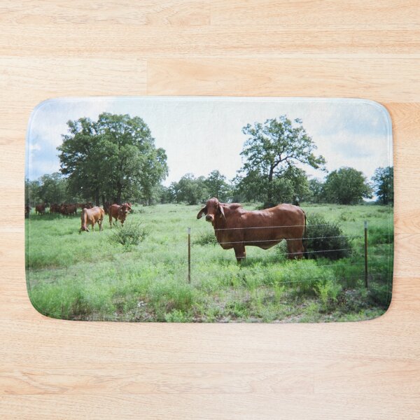 Item preview, Brahman Cow Photo designed and sold by TheAnimalZ00.