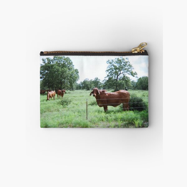 Item preview, Brahman Cow Photo designed and sold by TheAnimalZ00.