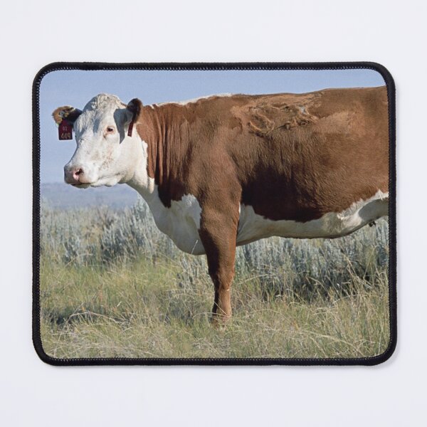 Item preview, Hereford Cow Photo designed and sold by TheAnimalZ00.