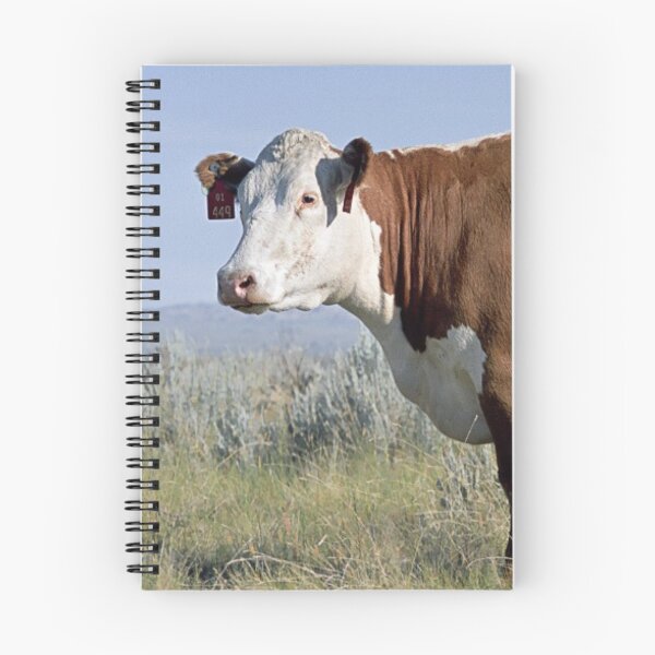 Item preview, Hereford Cow Photo designed and sold by TheAnimalZ00.