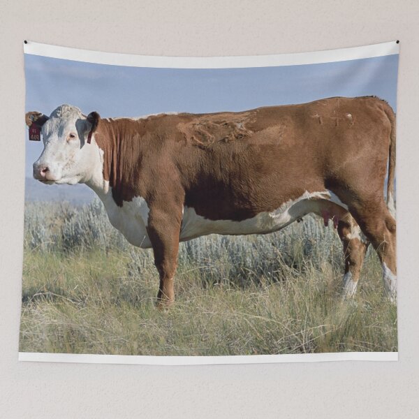 Item preview, Hereford Cow Photo designed and sold by TheAnimalZ00.