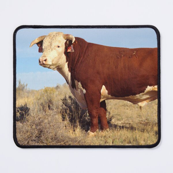 Item preview, Hereford Cow Photo designed and sold by TheAnimalZ00.