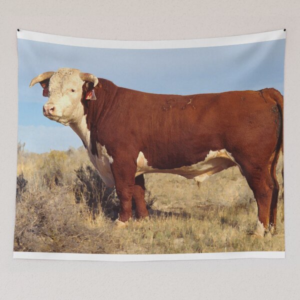 Item preview, Hereford Cow Photo designed and sold by TheAnimalZ00.