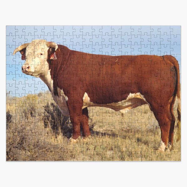 Item preview, Hereford Cow Photo designed and sold by TheAnimalZ00.