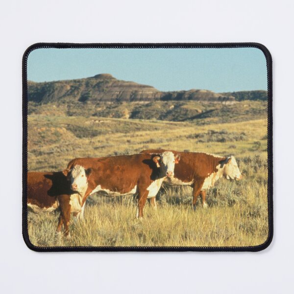 Item preview, Hereford Cows In The Field Photo designed and sold by TheAnimalZ00.