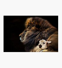 and the lion shall lie down with the lamb Photographic Print