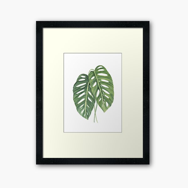 Monstera Leaves 3 Framed Art Print