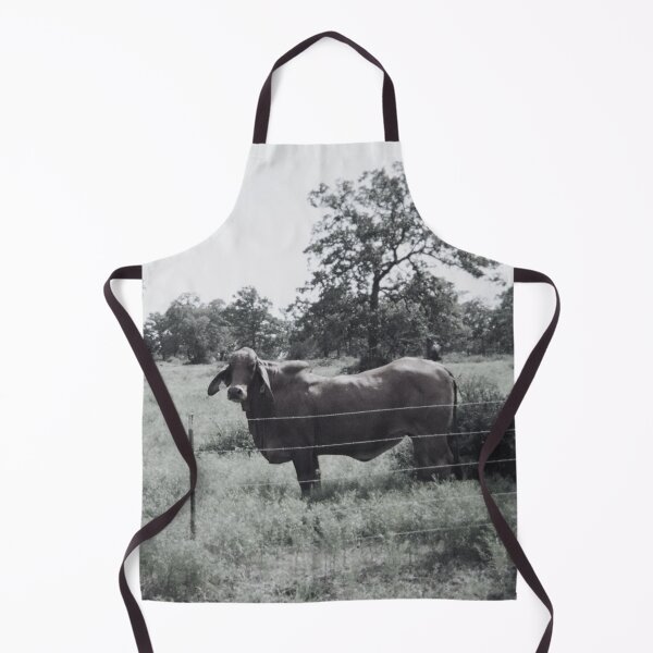 Item preview, Black and White Brahman Cow Photo designed and sold by TheAnimalZ00.