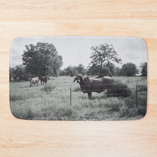 Item preview, Black and White Brahman Cow Photo designed and sold by TheAnimalZ00.