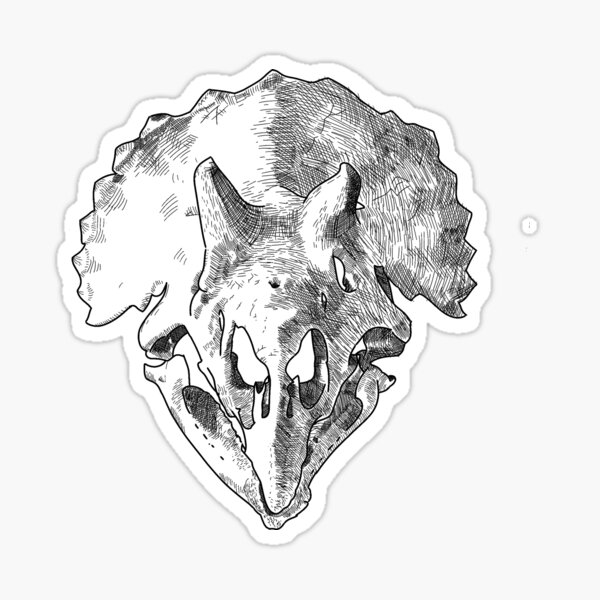 Item preview, Triceratops Skull Engraving designed and sold by Moth-ManIsReal.