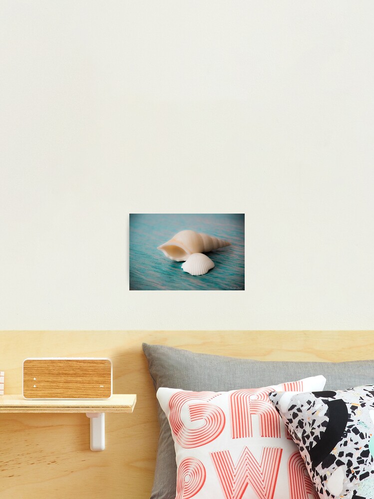 Thumbnail 2 of 3, Photographic Print, Shell Game designed and sold by RShoko.