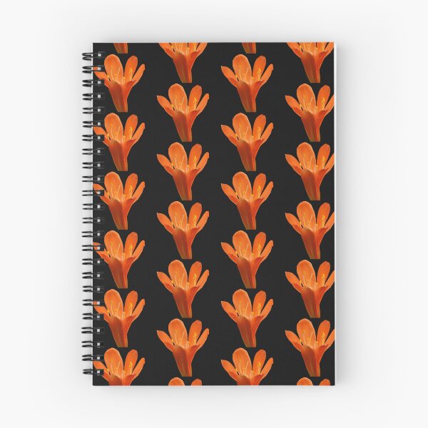 Item preview, Clivia Miniata naranja sobre fondo negro designed and sold by AussieAl.