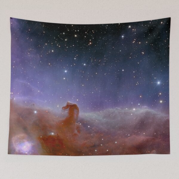 Item preview, Euclid Horsehead Nebula designed and sold by HeadRubble.
