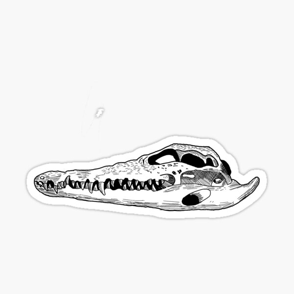 Item preview, Crocodile Skull Engraving designed and sold by Moth-ManIsReal.