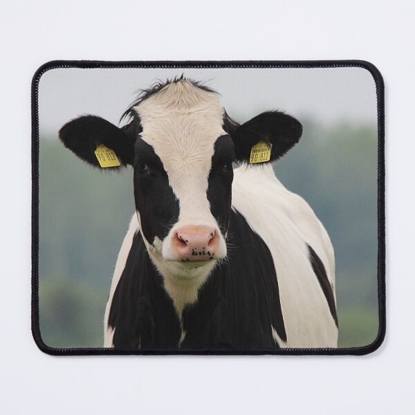 Item preview, Foto de vaca Holstein designed and sold by TheAnimalZ00.