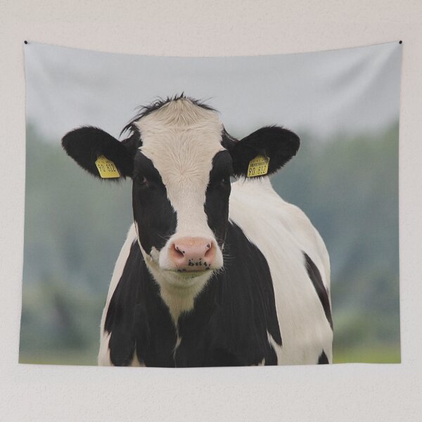 Item preview, Holstein Cow Photo designed and sold by TheAnimalZ00.