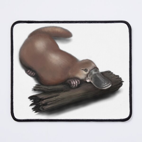 Item preview, Perky Platypus designed and sold by Anne Fries.