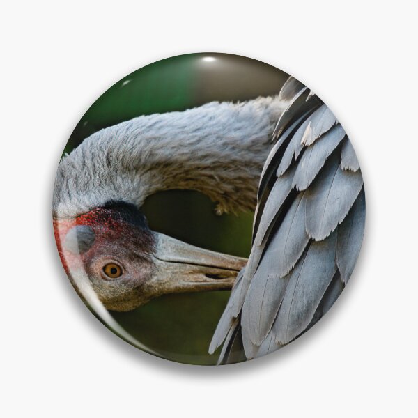 Item preview, Preening Brolga designed and sold by PVphotography.